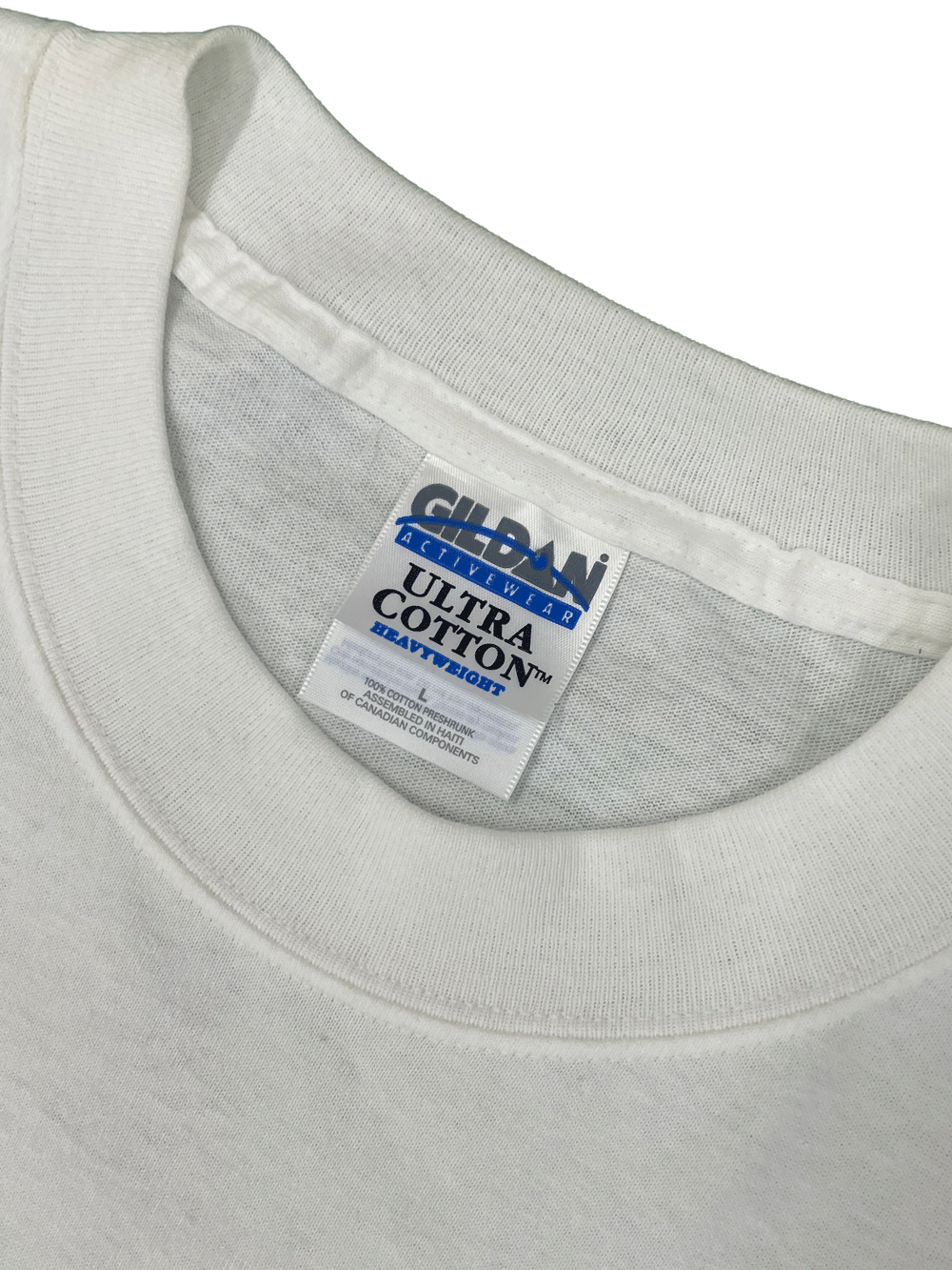 MICHELANGELO ART T-SHIRT