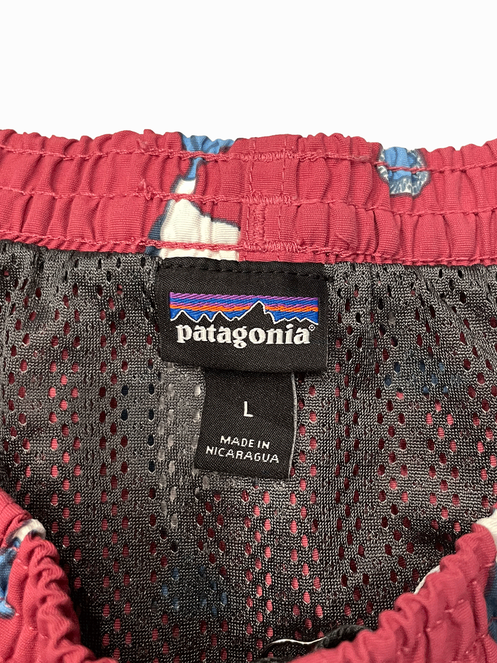 19' "Patagonia" Buggies Shorts