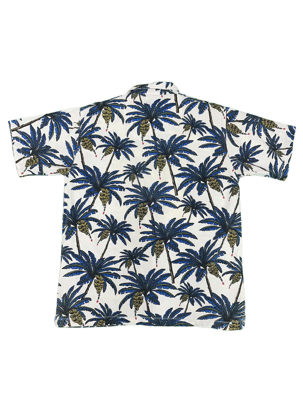NO BOUNDARIES S/S SHIRT