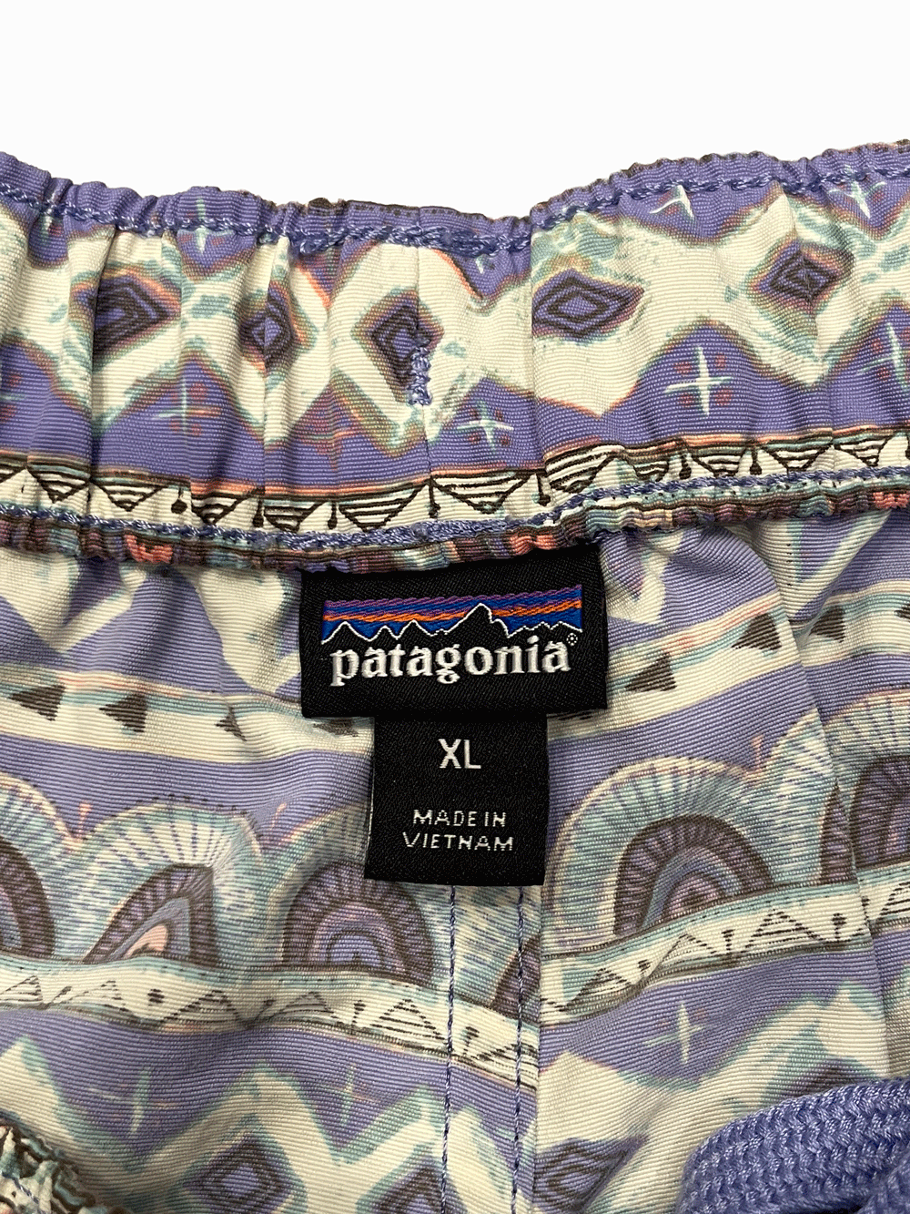 19' "Patagonia" Baggies Shorts