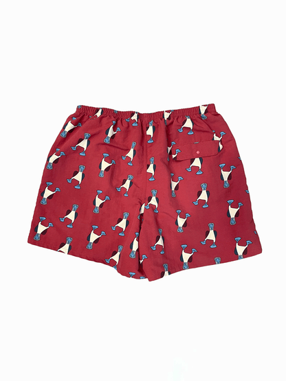 19' "Patagonia" Buggies Shorts