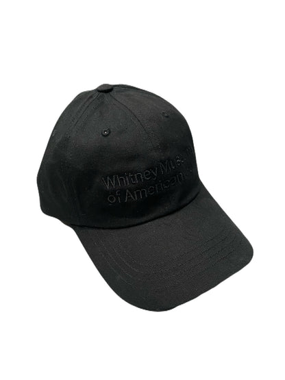 Whitney Museum CAP